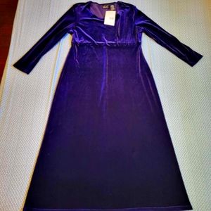 Purple Velvet Long Halloween Practical Magic Sally Witch Plus Size Dress NWT